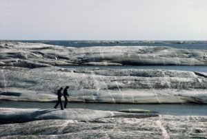 SWE-014